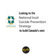 NISPS framework for suicide prevention: a model for Canada