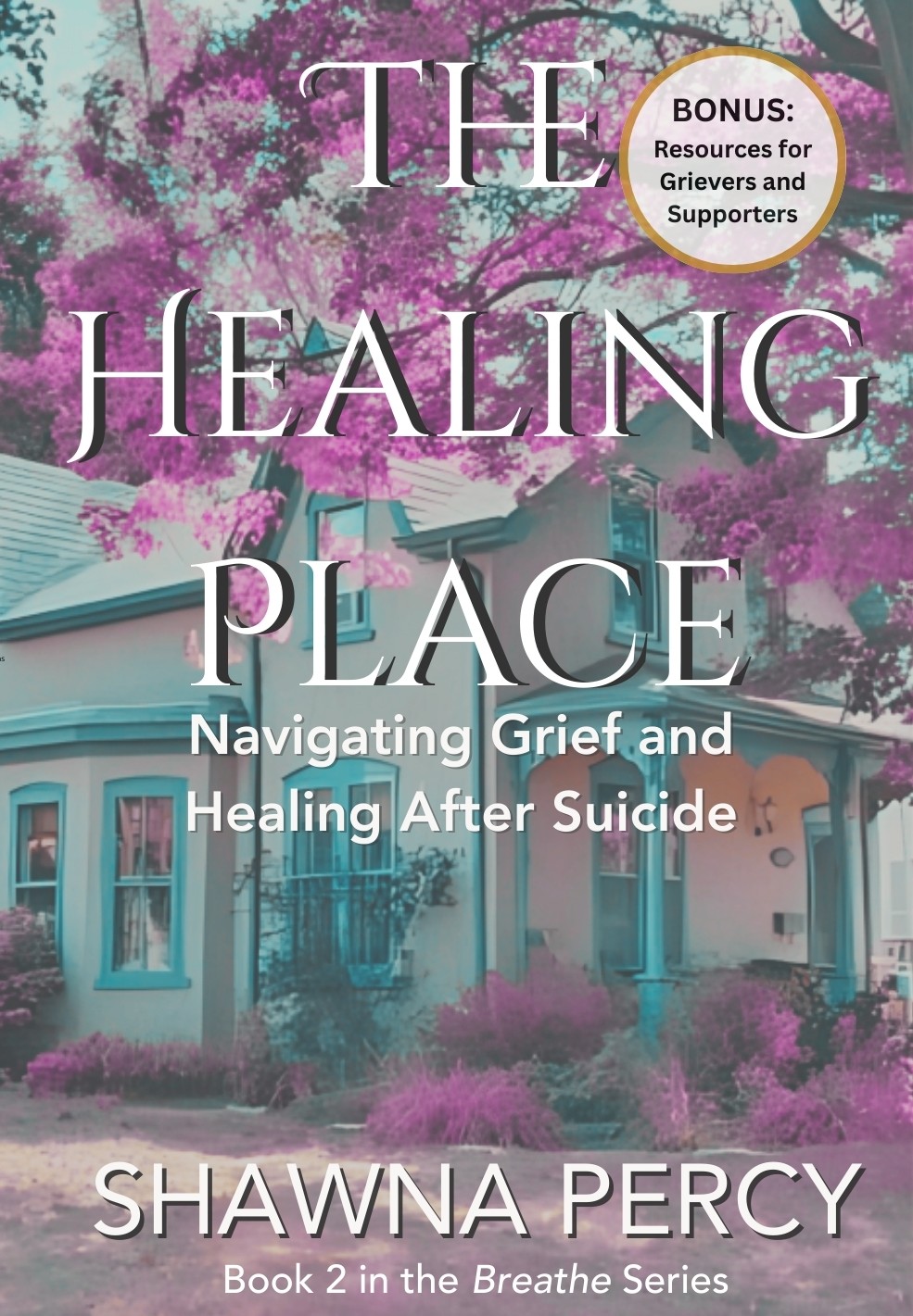 The Healing Place by Shawna Percy book cover